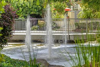 Tranquil landscaping with water features